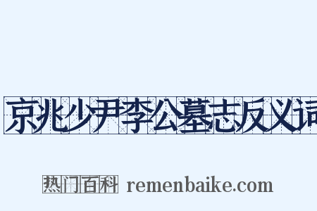 京兆少尹李公墓志反义词是什么意思的图片